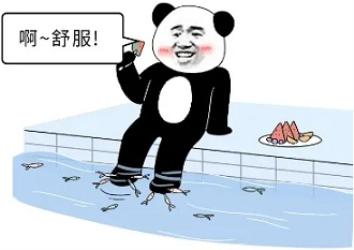 足疗店吃脚皮的小鱼长大后都被送去了哪儿？(图)