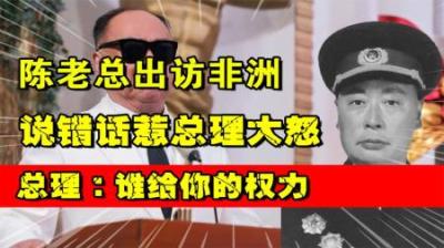 [视]1965年陈毅元帅外交场合说错话，周总理罕见发火：谁给你的权利？