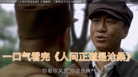 [文]《人间正道是沧桑》评论整剧剧评-电视剧解说文案
