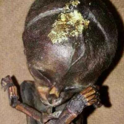 泰国镀金婴尸事件：迷信背后的悲剧