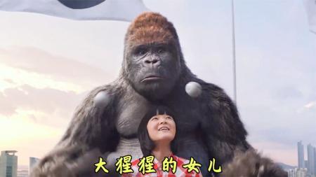 [文]《大明猩》解说文案《大明猩》：有点意思加搞笑加小感动