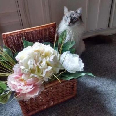 【唯美】下雨天心情难受的说说（下雨天心情不好还感冒难受的说说）