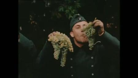 [文]《德军占领的卢浮宫》解说文案独裁者的历史之思