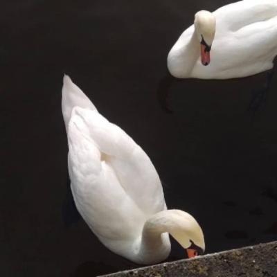 【爱情】告别2年爱情文案（彻底放弃爱情的文案）