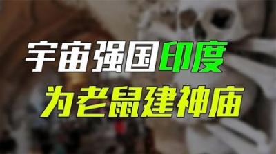[视]宇宙强国印度：人骨黑市独霸全球，租妻成风不限量，为老鼠建神庙