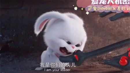 [文]《爱宠大机密》解说文案《爱宠大机密3D》：当玩具被注入生命之后宠物也被拟人化了