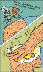 为什么有些人特别招蚊子？和血型有关系吗？