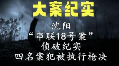 [视]沈阳串联18号案件真实影像，4小伙为财疯狂杀人，最后被执行死刑