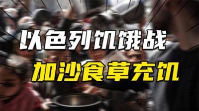 [视]以色列发动“饥饿战役”，加沙食草充饥，国际人权理事会难辞其咎