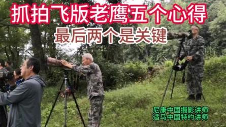 【课程】老鹰教程