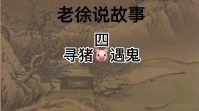 【民间恐怖故事】寻猪[附音频]
