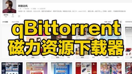【软件】qBittorrent v4.3.9.10 BT资源下载利器便携增强版