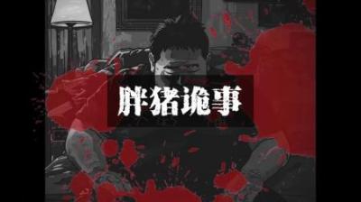 [视]《护食》拾荒老人居然抢狗的饭菜，真是见怪不怪~