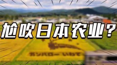 [视]打脸日本农业：农药大国，净收入减半，神化背后到底为啥？