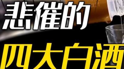 [视]平价好酒 因不爱打广告被小瞧的四款“低调”酒