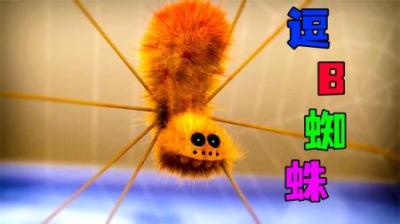 [视]《小小动物1》动物的微观世界，到底有多么有趣