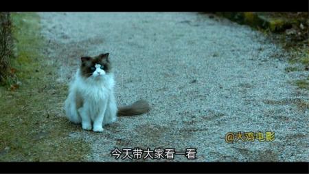 [文]《一个叫欧维的男人决定去死一个叫欧维的男人决定死去》看完后让你热泪盈眶的电影《一个叫欧维的男人决定去死》