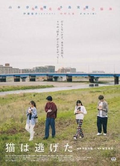 《猫猫逃走了》我们当时可以做出这样的决定，真是太好了！