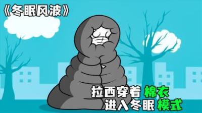 [视]《冬眠风波》冬天来了，拉西穿着棉大衣，进入了冬眠模式