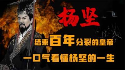 [视]唯一一个没有污点的皇帝 杨坚