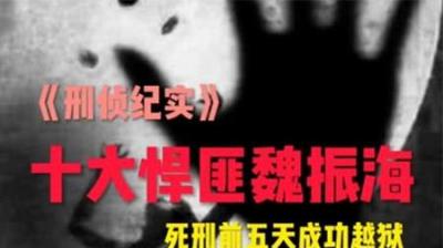 [视]刑侦大案越狱狂魔魏振海#刑侦 #刑侦大案 #魏振海 ##越狱高手