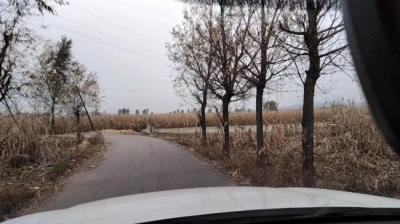 【民间恐怖故事】寒衣节上坟[附音频]