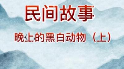 【民间恐怖故事】晚上的黑白动物[附音频]