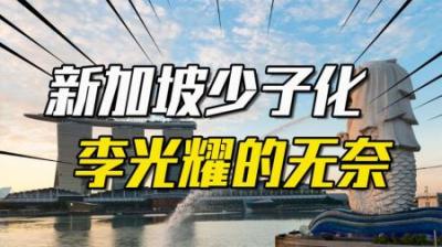 [视]新加坡人口问题，我解决不了：李光耀去世前为何对此表现绝望？
