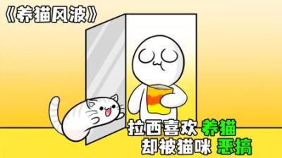 [视]《养猫风波》拉西第一次养猫，就被猫咪整蛊