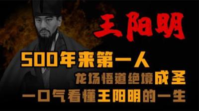 [视]500年来第一人，龙场悟道，绝境成圣。明朝王阳明