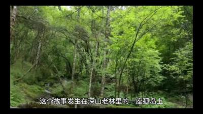 【民间恐怖故事】四次[附音频]