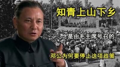 [视]毛主席号召知青上山下乡，邓公复出后，为何立即停止这项政策