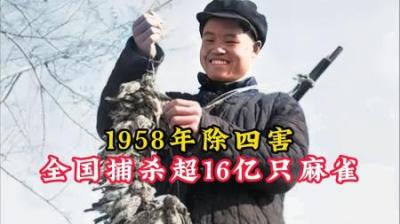 [视]1958年真实影像，全民上阵除四害捕杀超16亿麻雀，在国内近乎灭绝