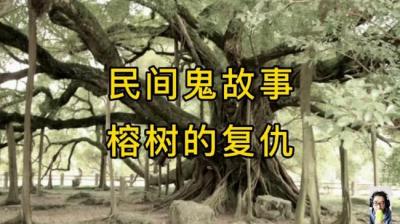 【民间恐怖故事】榕树的复仇[附音频]