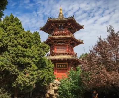 唐朝盛世之巅：兴庆宫的皇家气派与建筑华章