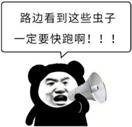 夏天看到这5种虫子，千万不要随便碰啊！