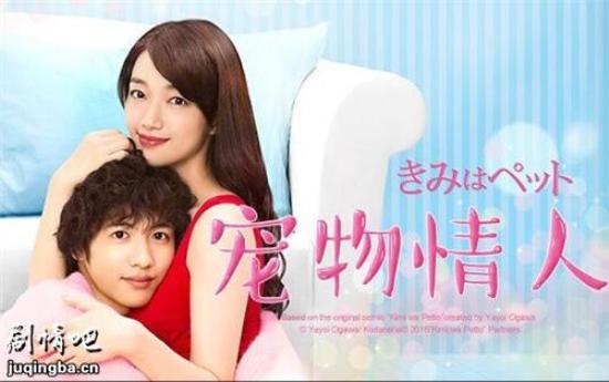 《宠物情人》_第1-3集_分集剧情