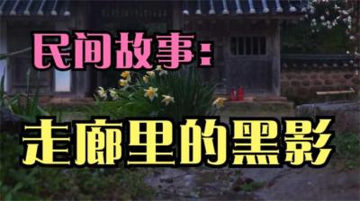 【民间恐怖故事】走廊里的黑影[附音频]