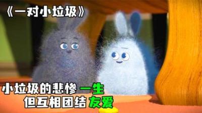 [视]《一对小垃圾》小垃圾拒绝被人类掌控，用团结赢得尊重