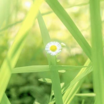 【伤感】能让男朋友很心痛的句子（给男朋友看了心痛的句子）