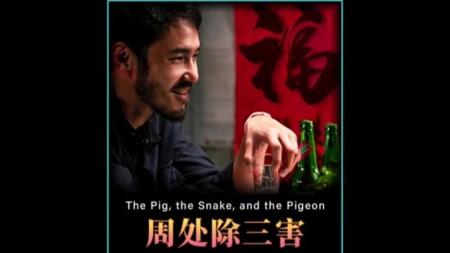 [视]2024王炸电影《周处除三害》解说