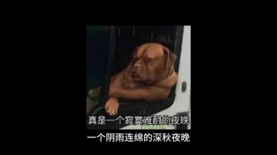 【民间恐怖故事】梦境与现实[附音频]