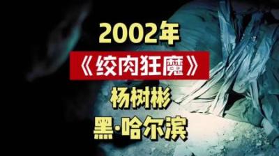 [视]哈尔滨绞肉机杨树彬，疯狂作案残害十余人，逃亡十年终于落网