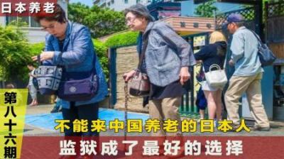 [视]50万日本老人来中国养老不成，日本专家建议：老人全部集体切腹