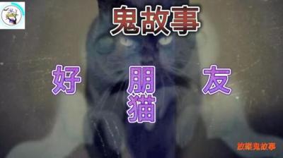 【民间恐怖故事】好朋友与猫[附音频]