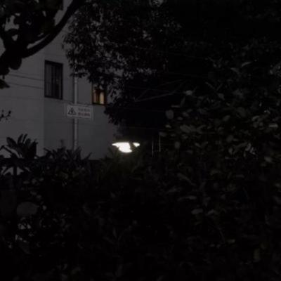 【经典】关于小狗可爱外形的名人名言（小狗可爱的句子三句话）