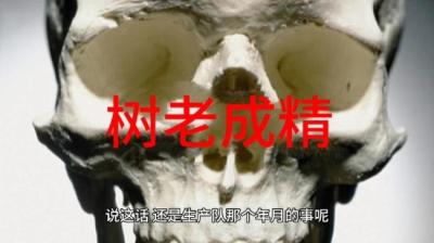 【民间恐怖故事】树老成精[附音频]