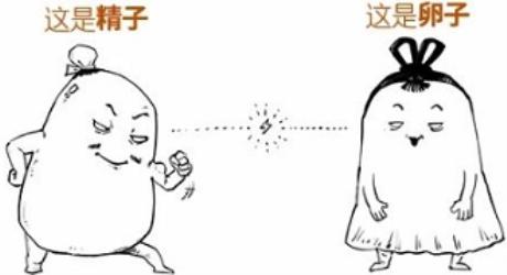 关于避孕，不论男女都要懂！