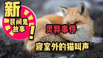 【民间恐怖故事】寝室外的猫叫声[附音频]