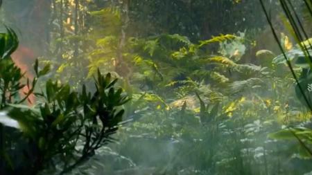 [视]一口气看完《奇幻森林2》#一剪到底